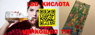 гидропоника Новозыбков