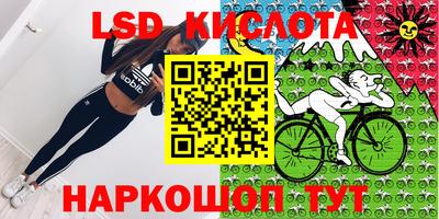 гидропоника Новозыбков