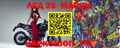 гидропоника Новозыбков