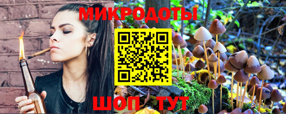 Псилоцибиновые грибы Cubensis  Вход с VPN  Пугачёв  Галлюциногенные грибы Magic Shrooms 